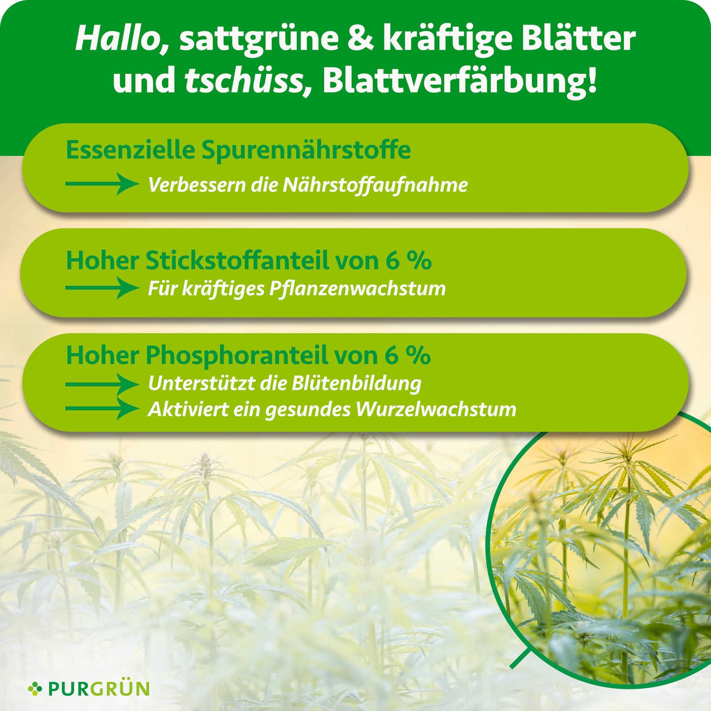 Autoflower-Bloom-Dünger 1 Liter