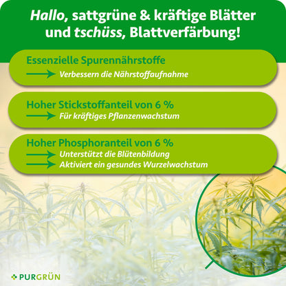 Autoflower-Bloom-Dünger 1 Liter