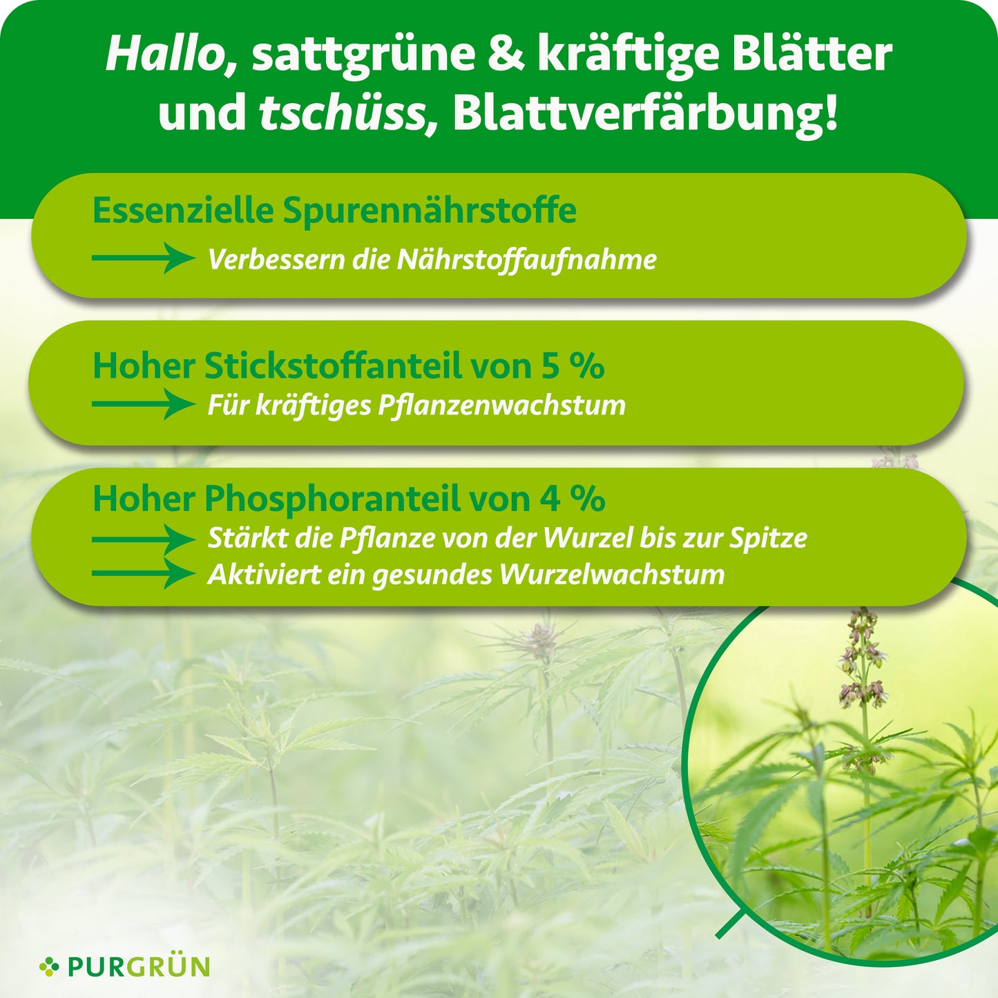 Autoflower-Grow-Dünger 1 Liter