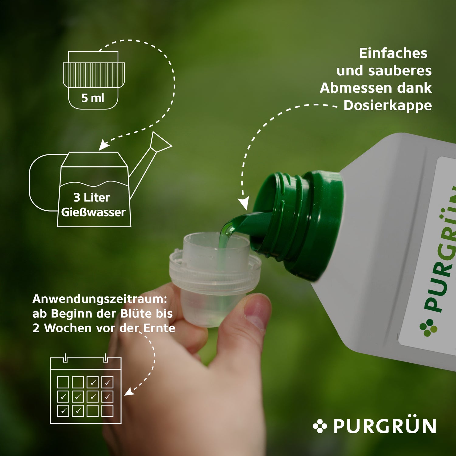 Eine Hand gießt grüne Flüssigkeit aus einer 1-Liter-Flasche Purgrün Autoflower-Bloom-Dünger in einen Messbecher. Die Abbildungen zeigen eine Dosierung von 5 ml pro 3 Liter Wasser und verdeutlichen den Phosphorgehalt und die Spurennährstoffe. Der Text ist auf Deutsch.