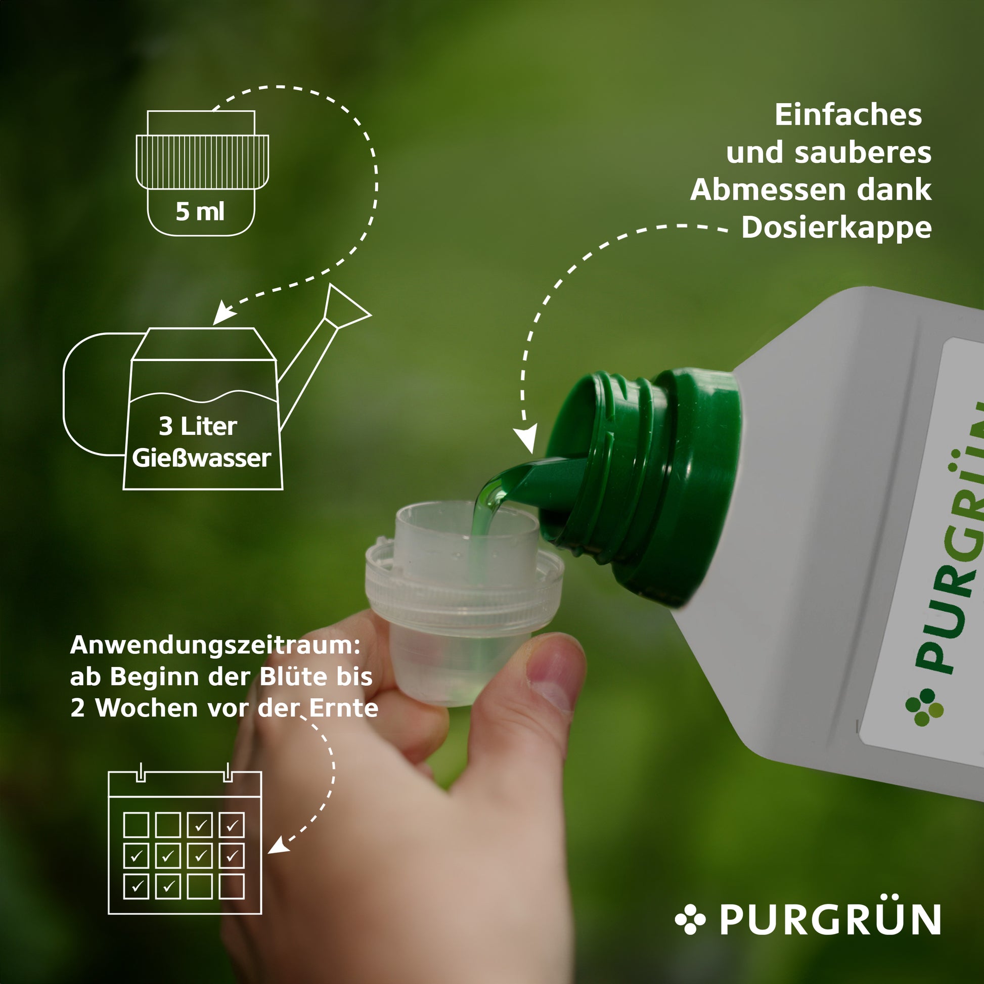 Eine Hand gießt grüne Flüssigkeit aus einer 1-Liter-Flasche Purgrün Autoflower-Bloom-Dünger in einen Messbecher. Die Abbildungen zeigen eine Dosierung von 5 ml pro 3 Liter Wasser und verdeutlichen den Phosphorgehalt und die Spurennährstoffe. Der Text ist auf Deutsch.