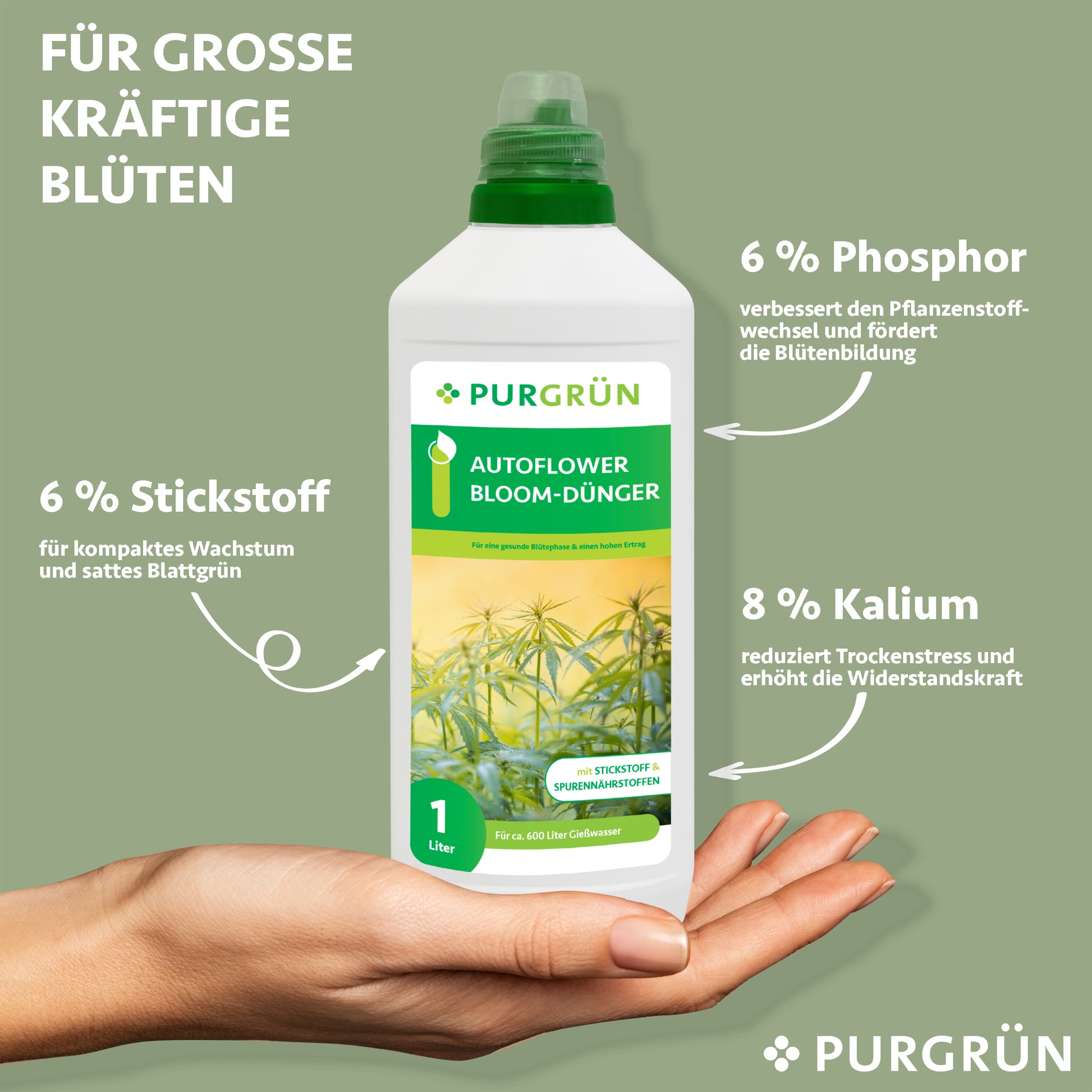Eine Hand hält eine 1-Liter-Flasche Purgrün Autoflower-Bloom-Dünger. Auf dem Etikett steht 6 % Phosphor, 6 % Stickstoff und 8 % Kalium sowie Spurennährstoffe für gesundes Wachstum und kräftige Blüten.