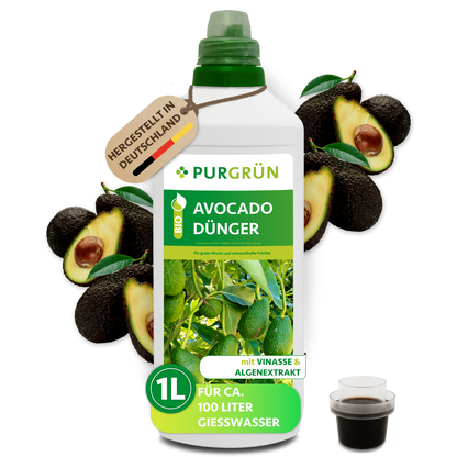 Eine 1-Liter-Flasche Purgrün Bio-Avocado-Dünger ist mit Avocados und einer Tasse dunkler Flüssigkeit abgebildet. Auf dem Etikett steht Vinasse und Algenextrakt, hergestellt in Deutschland, für gesunde Avocadobäume.