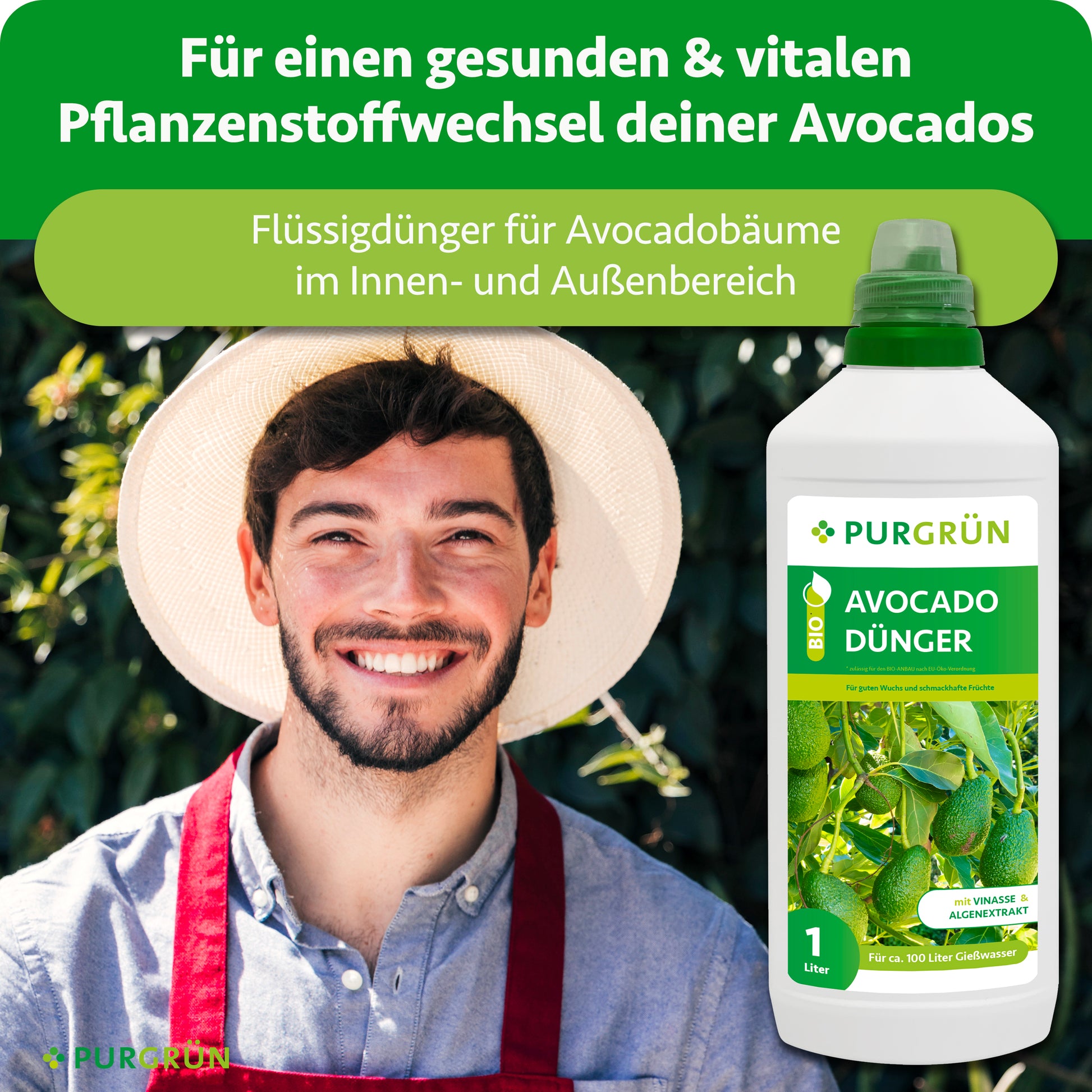 Ein lächelnder Mann in einer roten Schürze steht neben einer 1-Liter-Flasche Purgrün Bio-Avocado-Dünger, der als idealer Flüssigdünger für starke, gesunde Avocadobäume im Innen- und Außenbereich angepriesen wird.