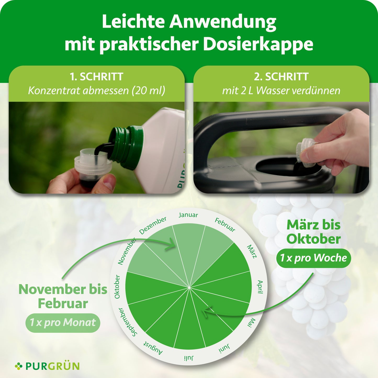 Anleitung für Purgrün Bio-Avocado-Dünger 1 Liter: Schritt 1 – 20 ml Dünger abmessen, Schritt 2 – mit 2 Litern Wasser mischen; Diagramm zeigt empfohlene Dosierung für Avocadobäume pro Monat.