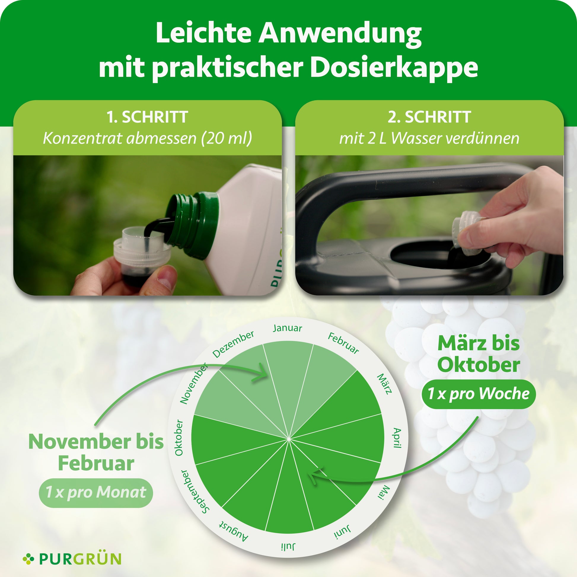 Anleitung für Purgrün Bio-Avocado-Dünger 1 Liter: Schritt 1 – 20 ml Dünger abmessen, Schritt 2 – mit 2 Litern Wasser mischen; Diagramm zeigt empfohlene Dosierung für Avocadobäume pro Monat.