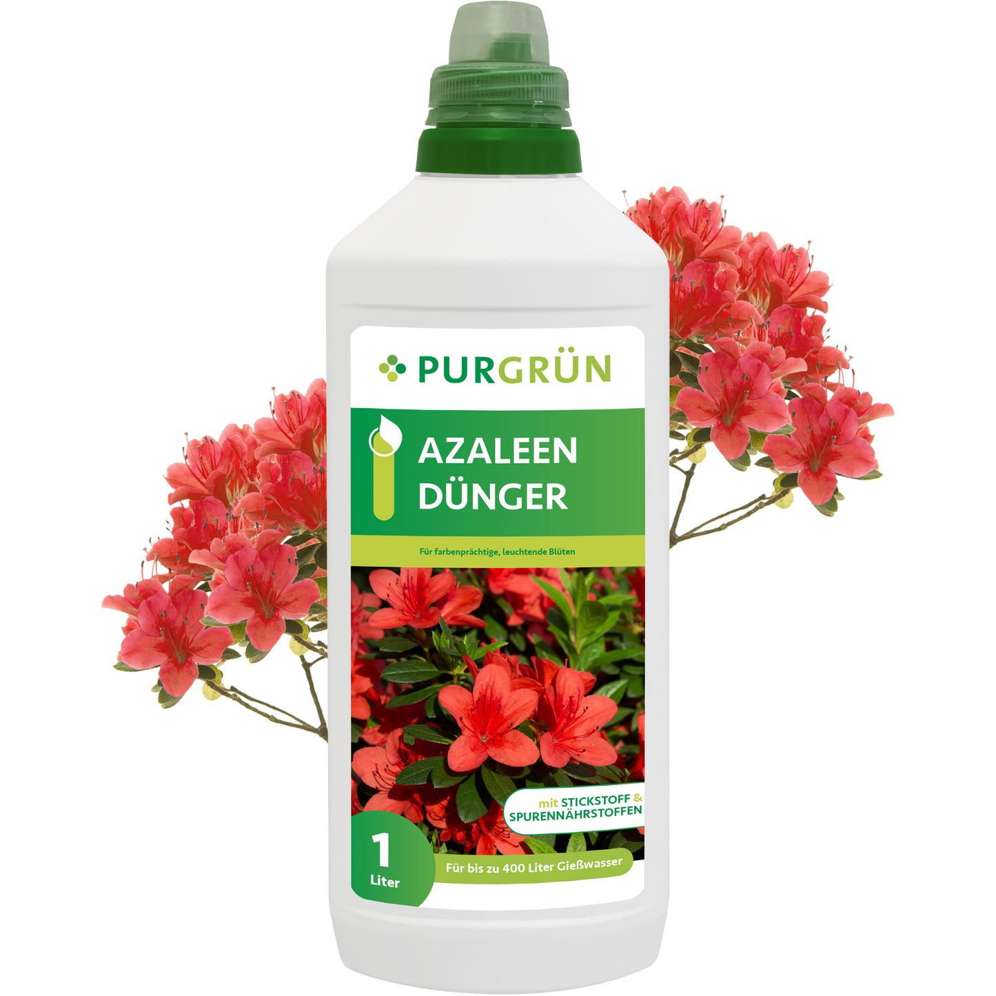 Eine 1-Liter-Flasche Purgrün Azaleen-Dünger steht vor blühenden roten Azaleen, mit Produktangaben und Azaleenmotiven auf dem Etikett.