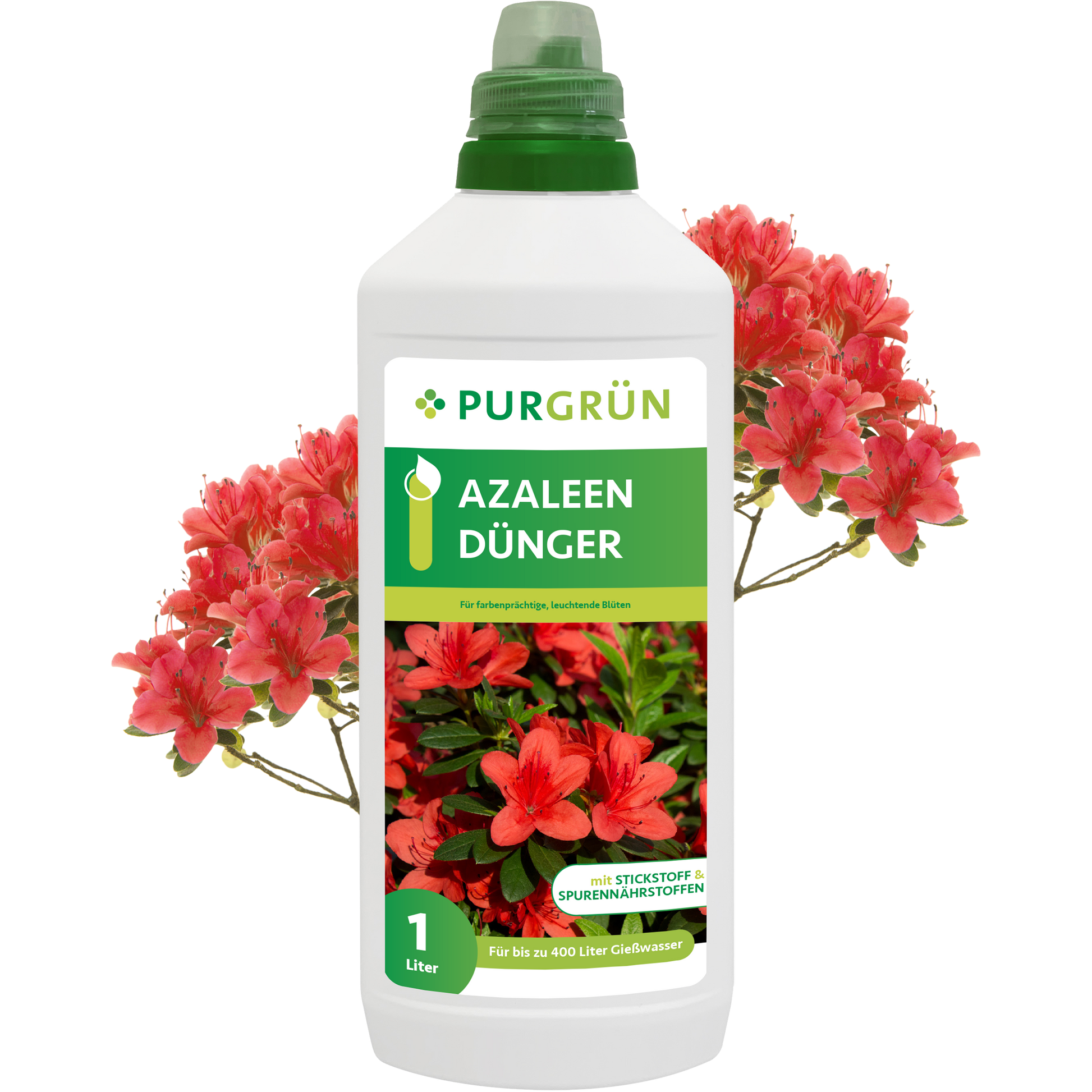 Eine 1-Liter-Flasche Purgrün Azaleen-Dünger steht vor blühenden roten Azaleen, mit Produktangaben und Azaleenmotiven auf dem Etikett.