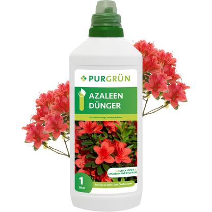 Eine 1-Liter-Flasche Purgrün Azaleen-Dünger steht vor blühenden roten Azaleen, mit Produktangaben und Azaleenmotiven auf dem Etikett.