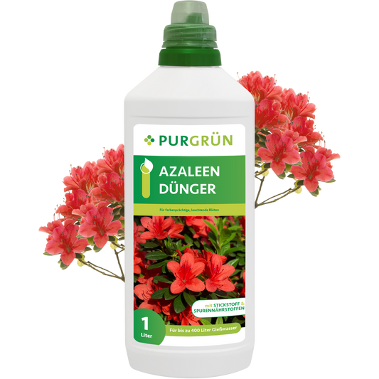 Eine 1-Liter-Flasche Purgrün Azaleen-Dünger steht vor blühenden roten Azaleen, mit Produktangaben und Azaleenmotiven auf dem Etikett.