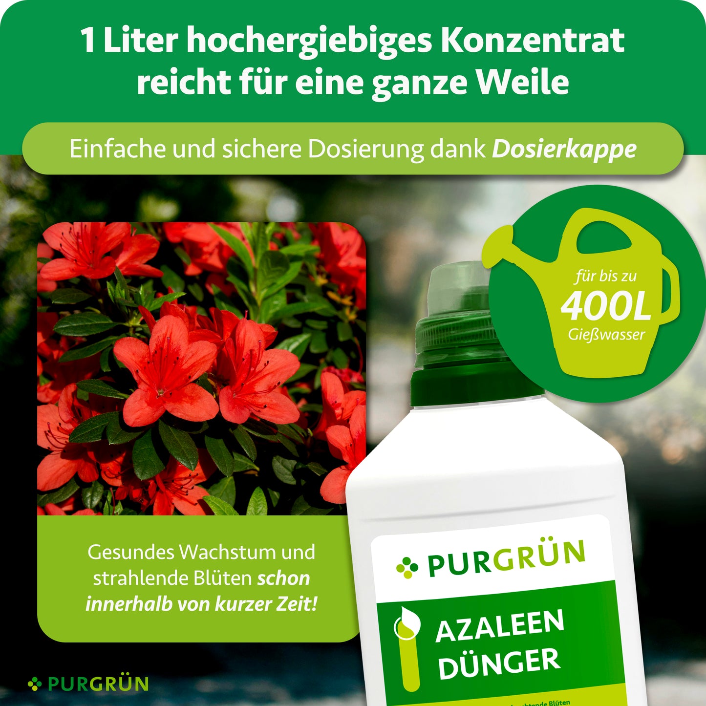 Azaleen-Dünger 1 Liter