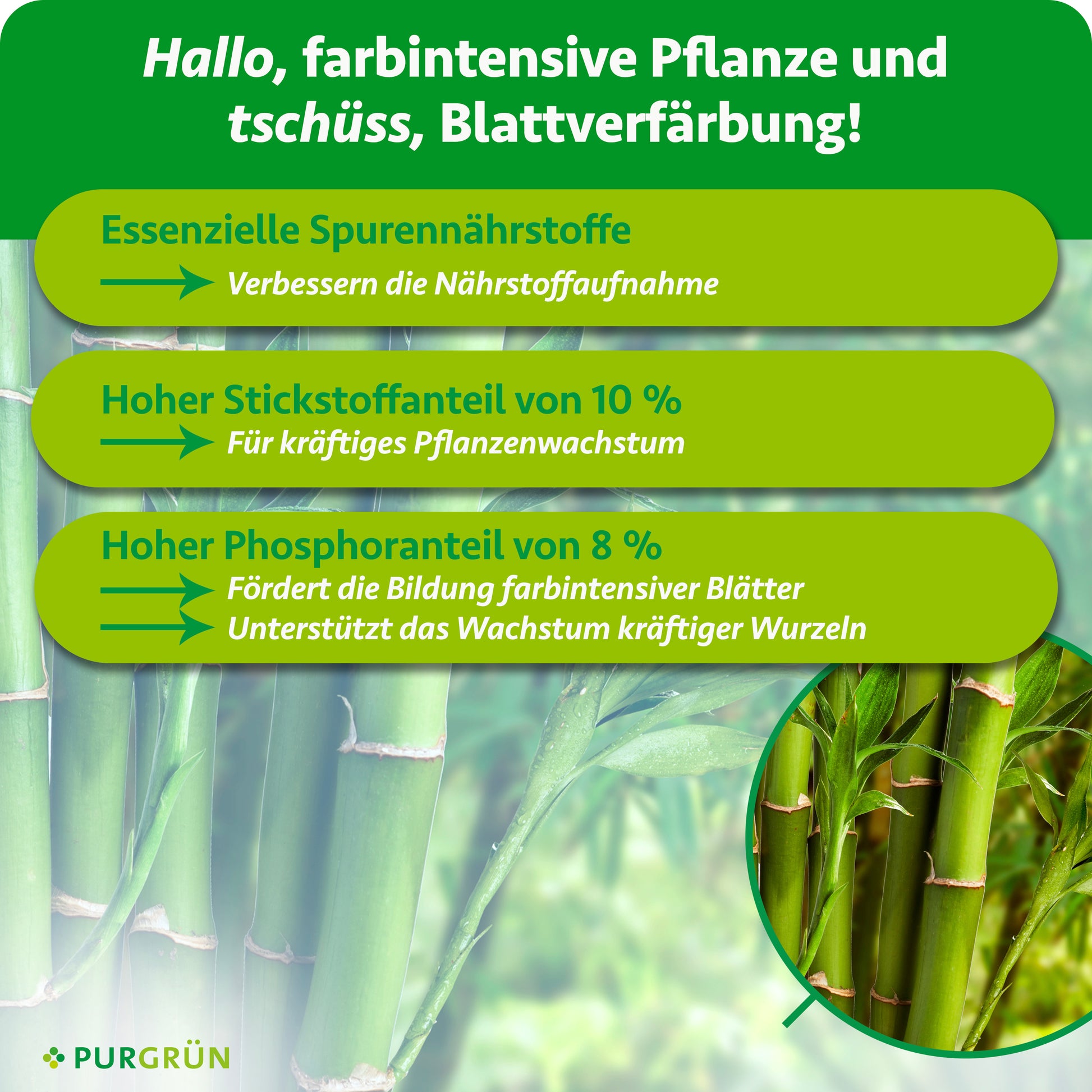 Purgrün Bambusdünger 1 Liter