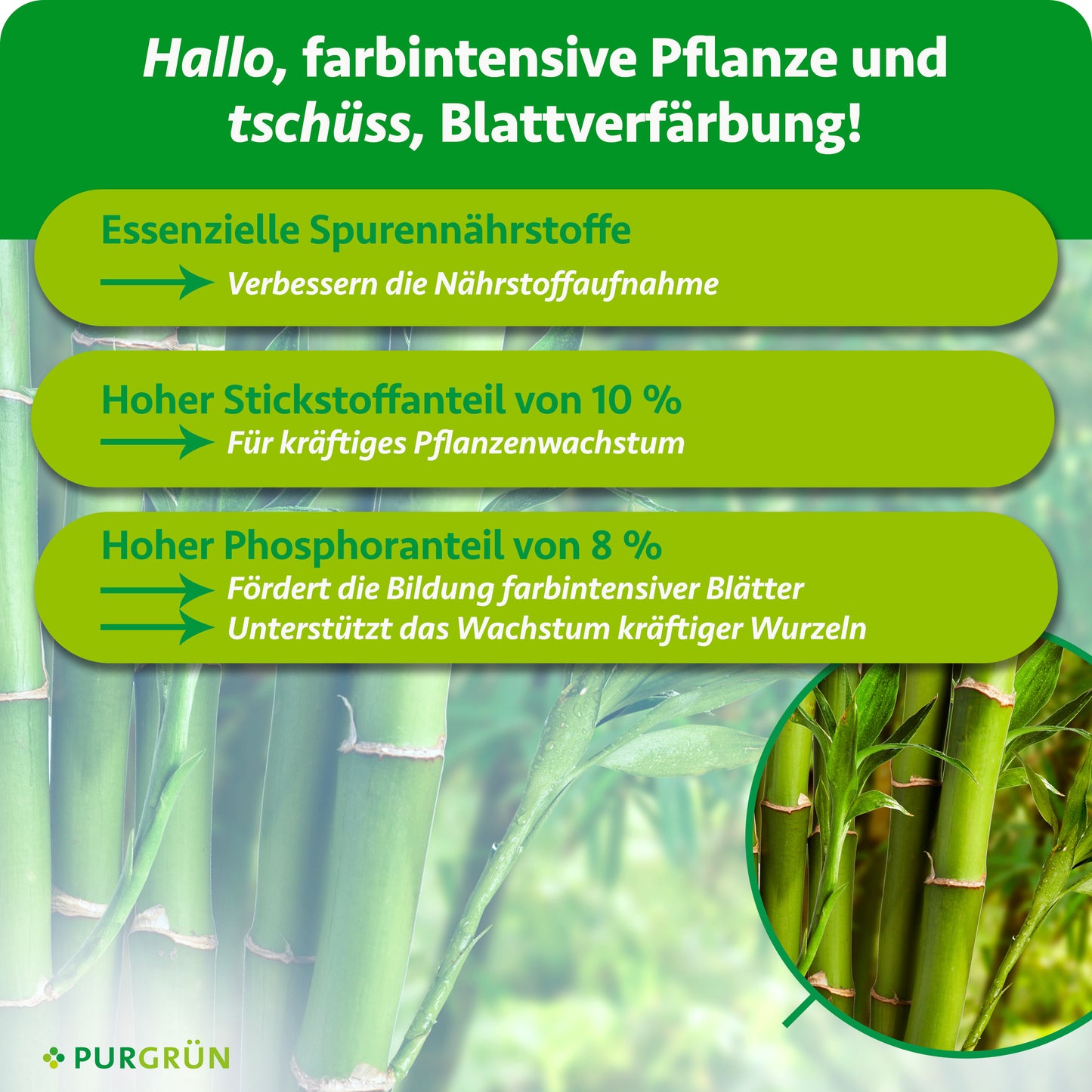 Bambusdünger 1 Liter