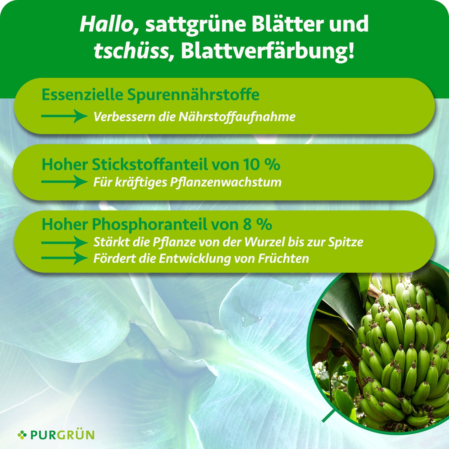Bananendünger 1 Liter