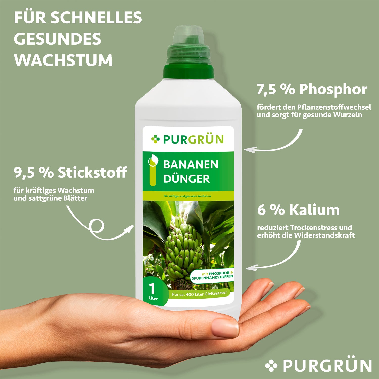 Eine Hand hält eine 1-Liter-Flasche Purgrün Bananendünger. Der Text hebt die Nährstoffe hervor: 9,5 % Stickstoff, 7,5 % Phosphor und 6 % Kalium – ideal für gesundes Wachstum und schnelles Pflanzenwachstum.