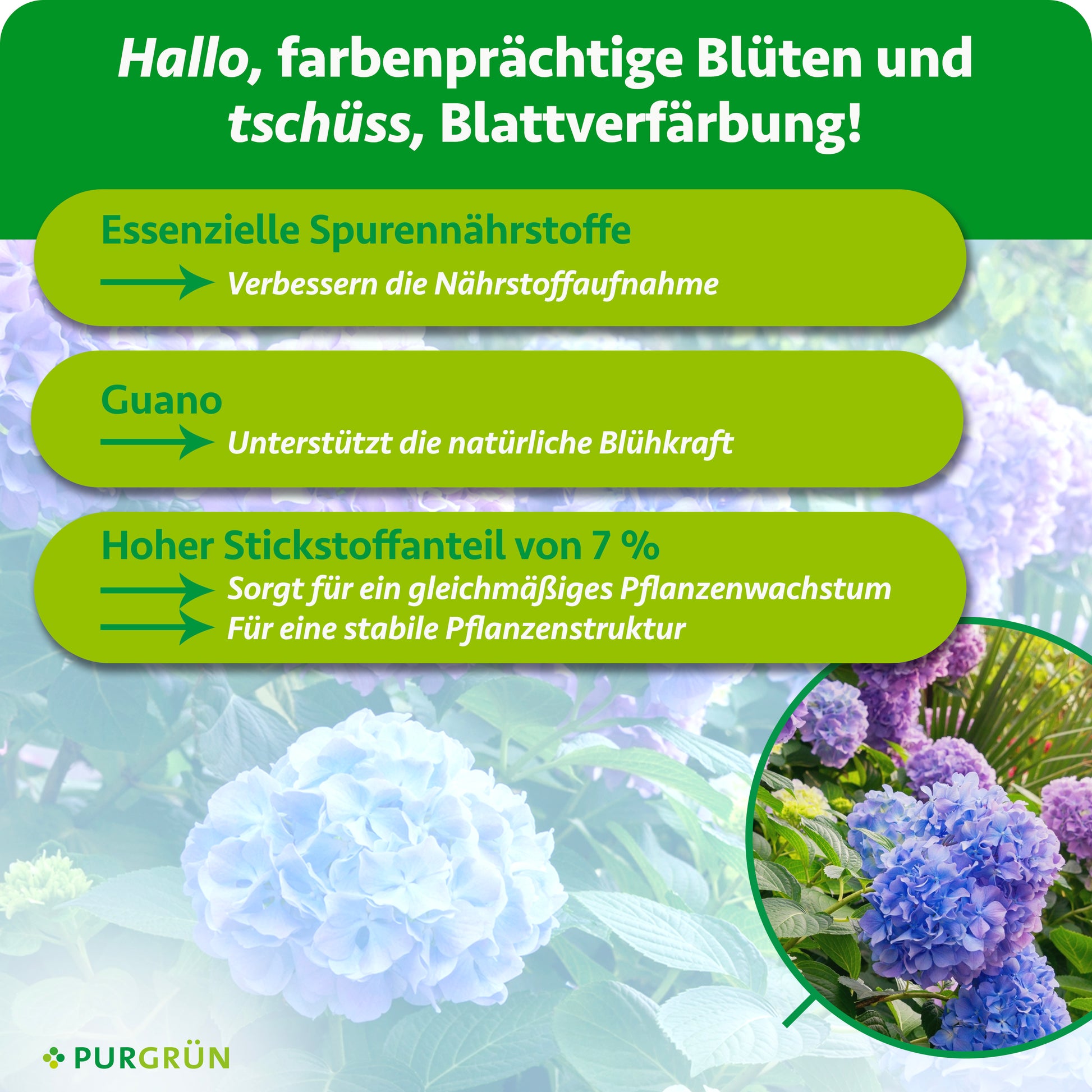 bauernhortensie düngen Purgrün Bauernhortensie-Dünger 1 Liter