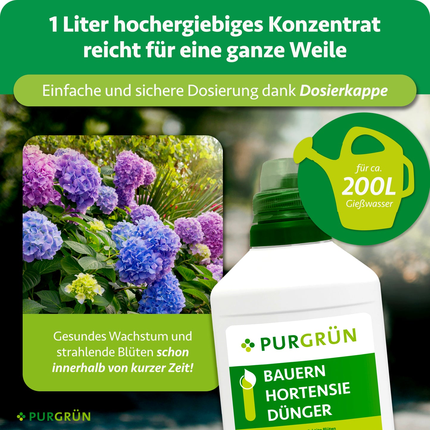 Bauernhortensie-Dünger 1 Liter