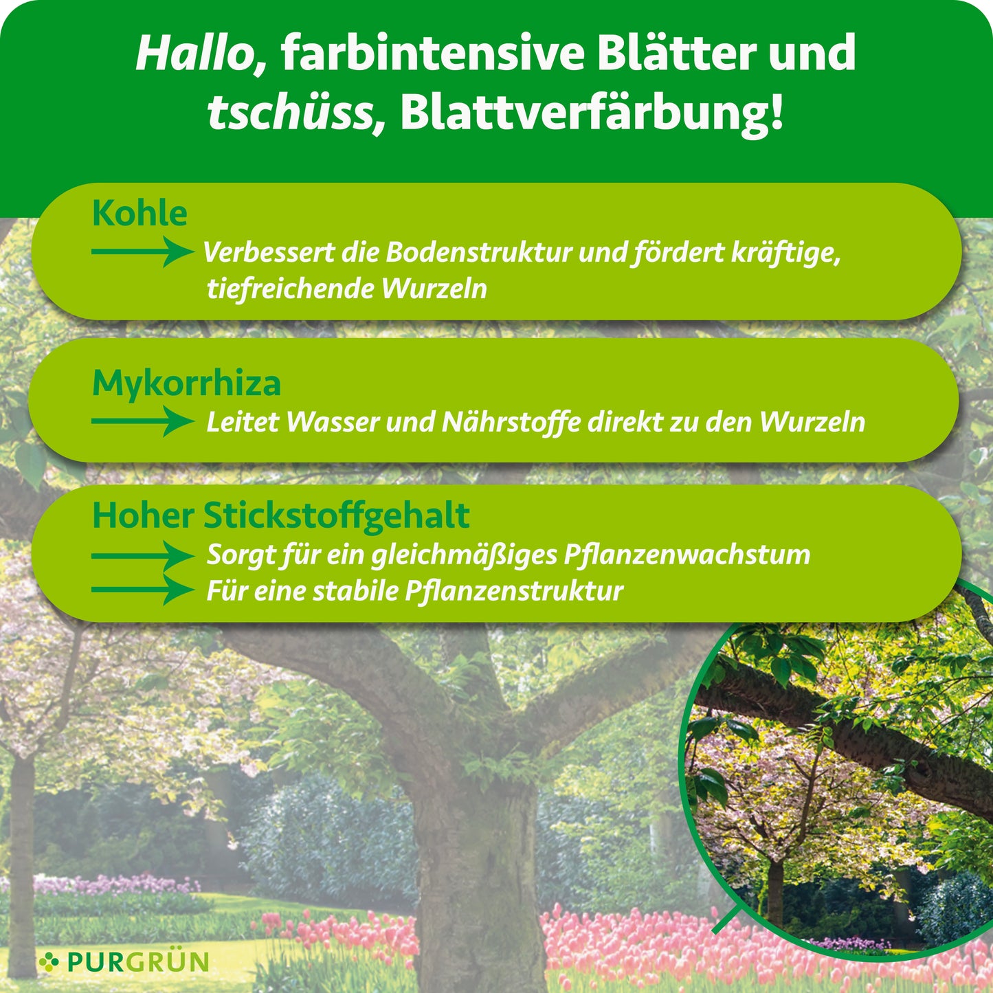 Bio-Baumdünger 1 kg