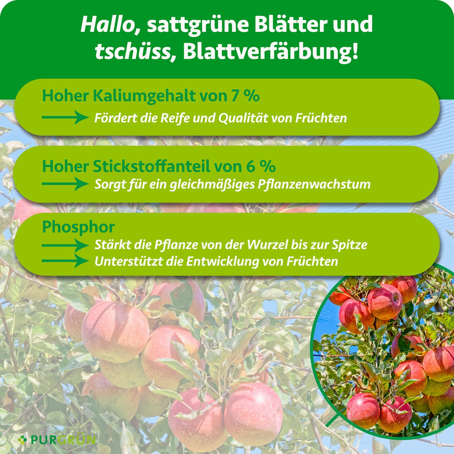 Bio-Apfelbaum-Dünger 1 kg