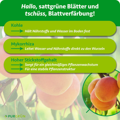 Bio-Aprikosenbaum-Dünger 1 kg