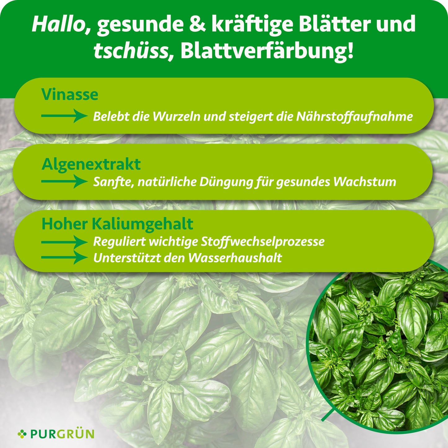 Bio-Basilikum-Dünger 1 Liter