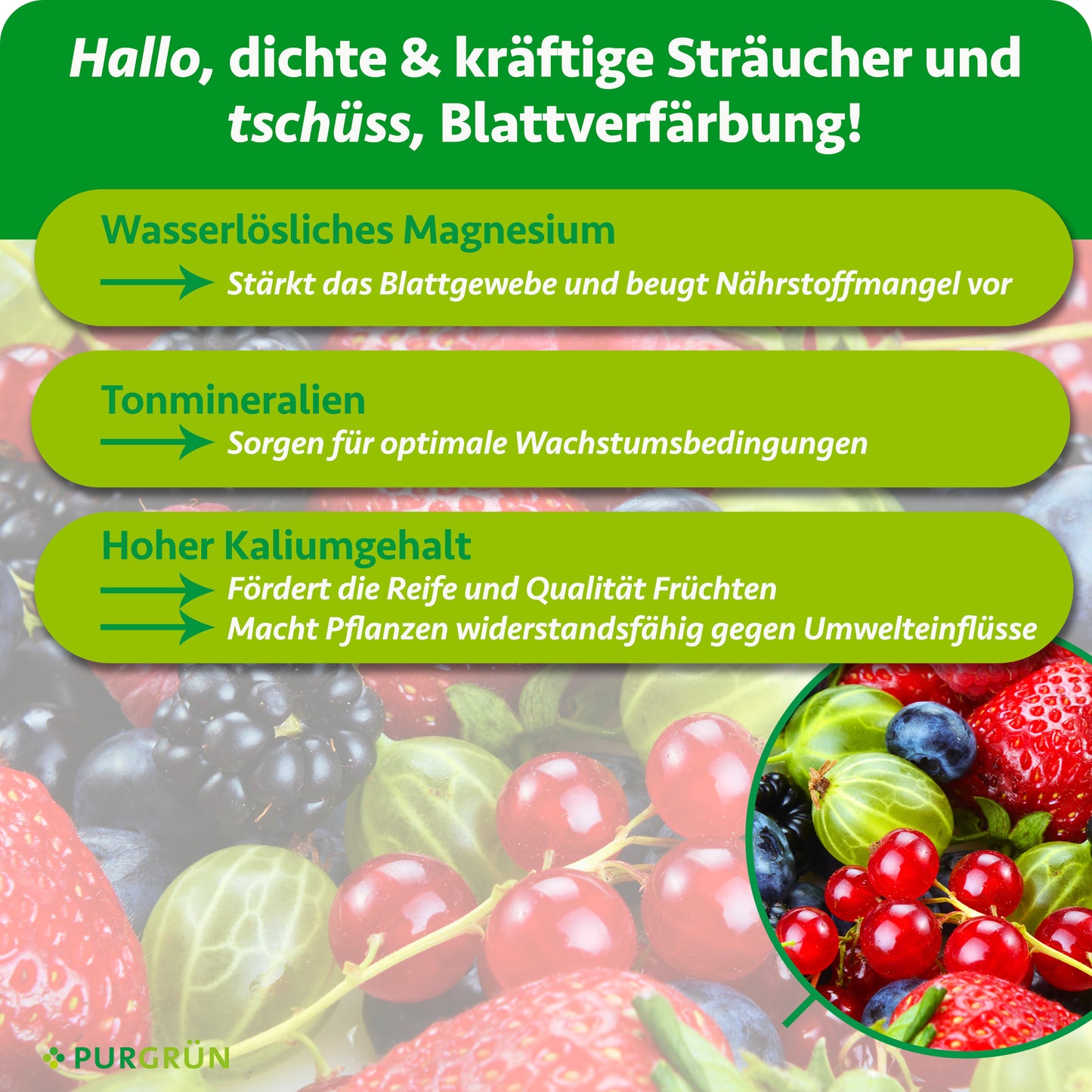 Bio-Beerendünger 1 kg