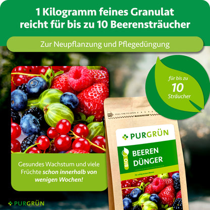 Bio-Beerendünger 1 kg