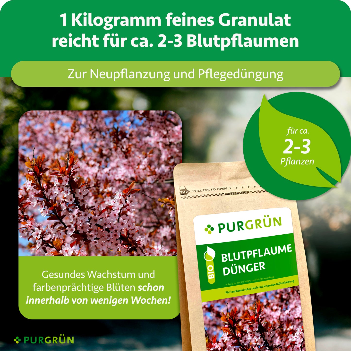 Bio-Blutpflaume-Dünger 1 kg