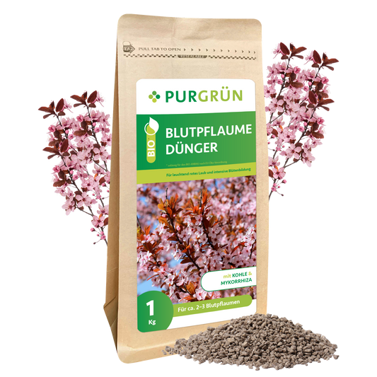 Ein 1 kg schwerer brauner Purgrün Bio-Blutpflaumen-Dünger-Beutel mit Pflaumenblütenmotiven steht aufrecht mit losem grauen Granulat auf der Vorderseite - ideal zum Düngen von Blutpflaumen. Hinter der Verpackung sind rosa Pflaumenzweige zu sehen.