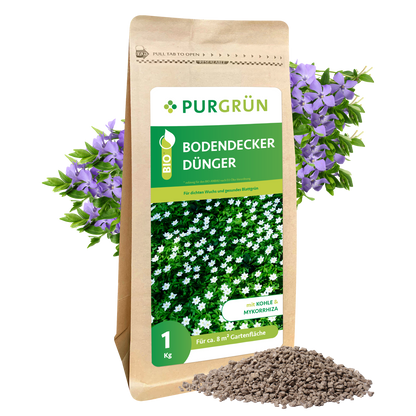 Eine 1 kg schwere braune Papiertüte von Purgrün Bodendecker-Dünger zeigt ein Etikett mit weißen Blüten, umgeben von lila Blüten und einem kleinen Haufen Granulatdünger auf der Vorderseite.