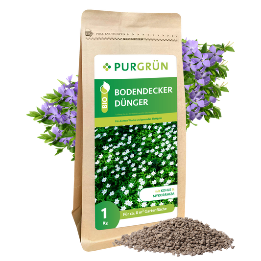 Eine 1 kg schwere braune Papiertüte von Purgrün Bodendecker-Dünger zeigt ein Etikett mit weißen Blüten, umgeben von lila Blüten und einem kleinen Haufen Granulatdünger auf der Vorderseite.