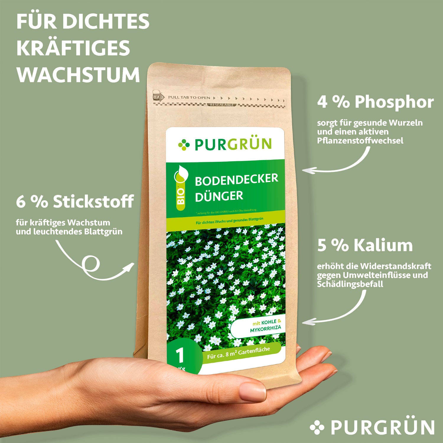 Eine Hand hält einen Purgrün Bodendecker-Dünger 1 kg Beutel. Der Text hebt das dichte, kräftige Wachstum mit 6% Stickstoff, 4% Phosphor, 5% Kalium und Mykorrhiza für gesunde Wurzeln hervor.