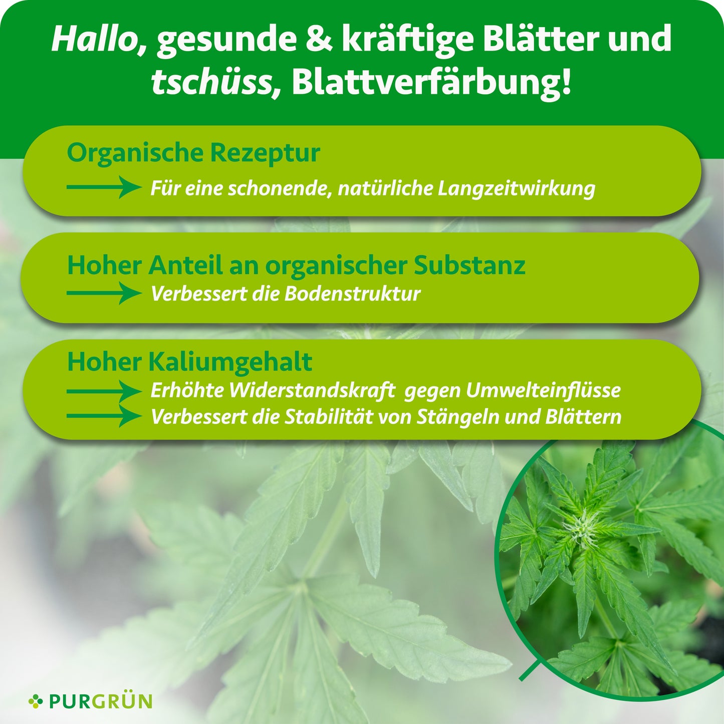 Bio-Cannabis-All-In-One-Dünger 1 Liter