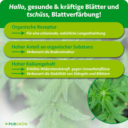 Bio-Cannabis-All-In-One-Dünger 1 Liter
