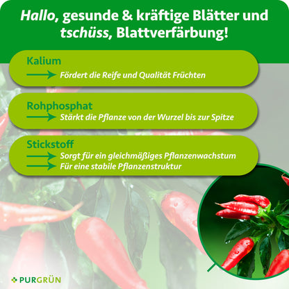 Bio-Chilidünger 1 Liter