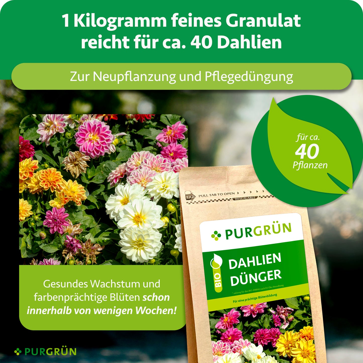 Bio-Dahlien-Dünger 1 kg