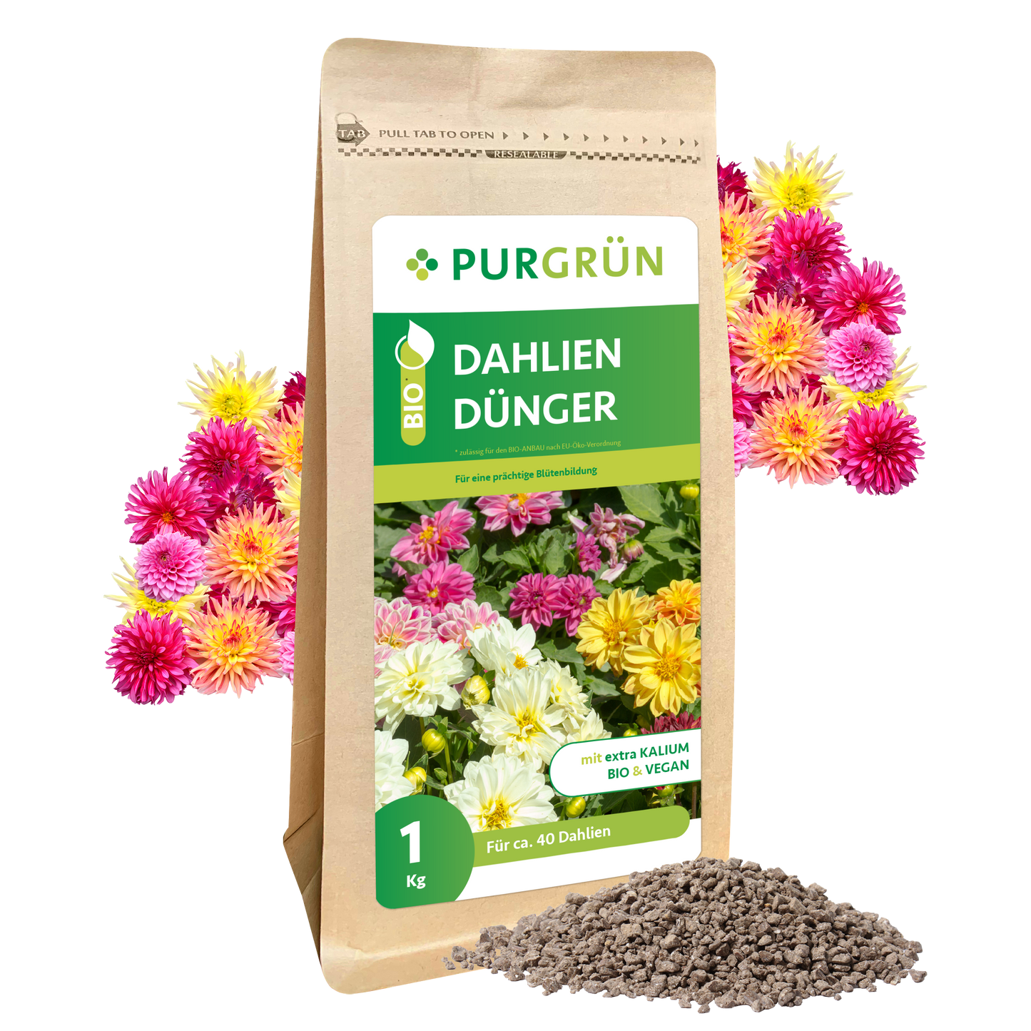 Ein 1 kg-Sack Purgrün Bio-Dahlien-Dünger steht aufrecht, dahinter leuchtende Dahlien und davor ein kleiner Haufen Düngergranulat. Auf der Verpackung steht "Blütenbildung Dahlien" und weitere Produktinformationen in deutscher Sprache.