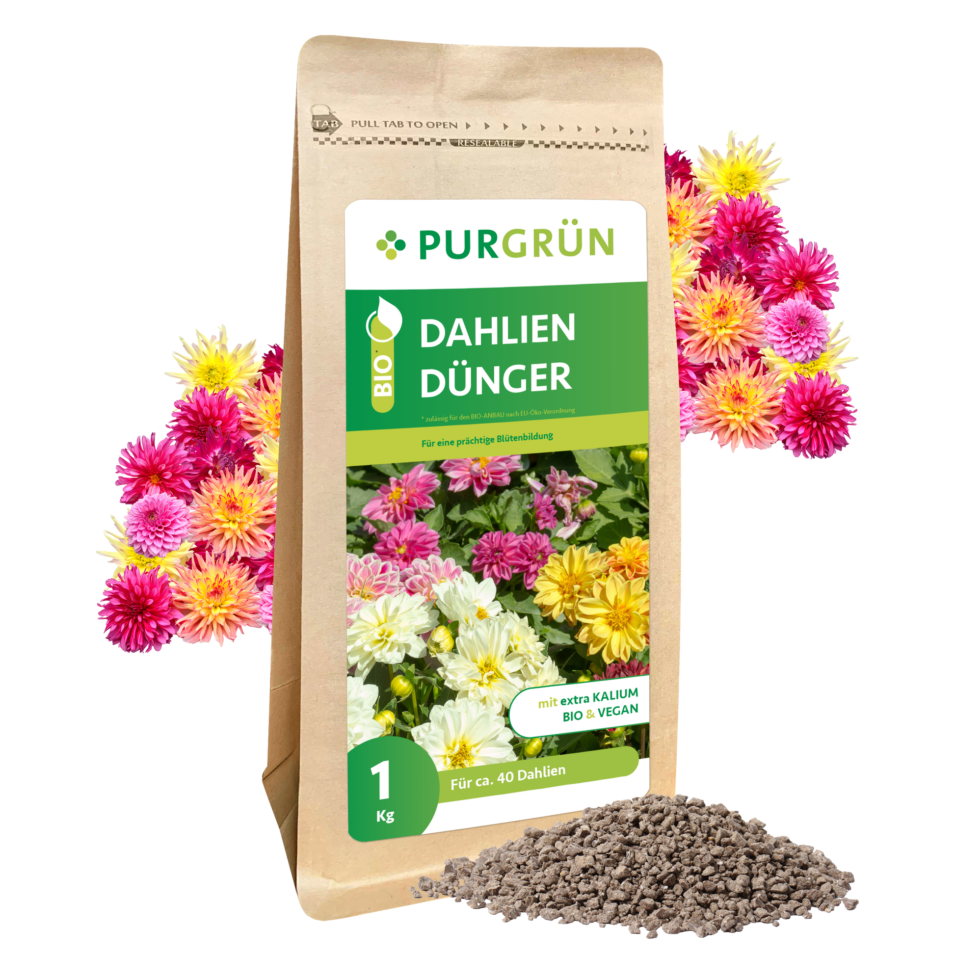 Ein 1 kg-Sack Purgrün Bio-Dahlien-Dünger steht aufrecht, dahinter leuchtende Dahlien und davor ein kleiner Haufen Düngergranulat. Auf der Verpackung steht "Blütenbildung Dahlien" und weitere Produktinformationen in deutscher Sprache.