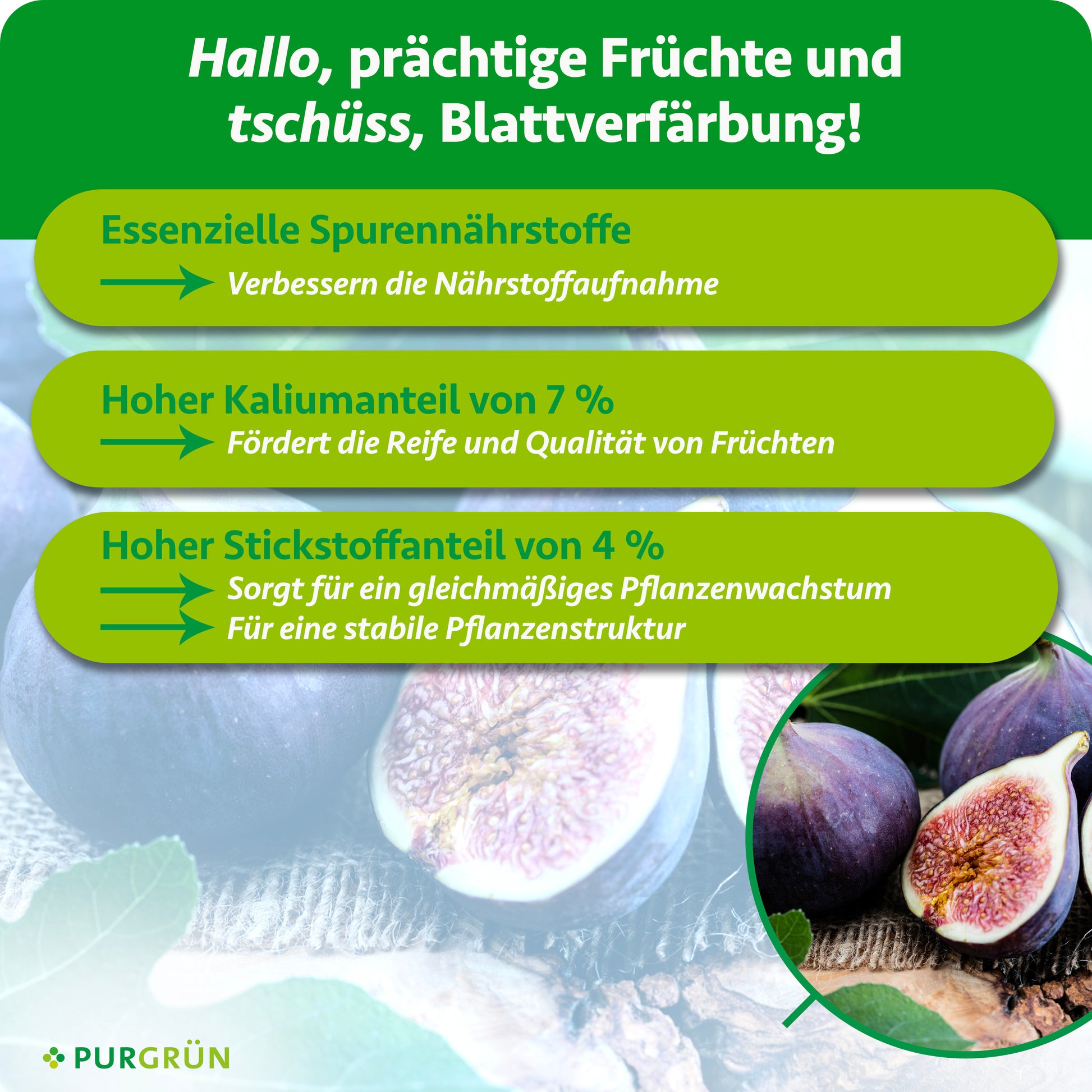 feigen aufbewahren Purgrün Bio-Feigendünger 1 Liter