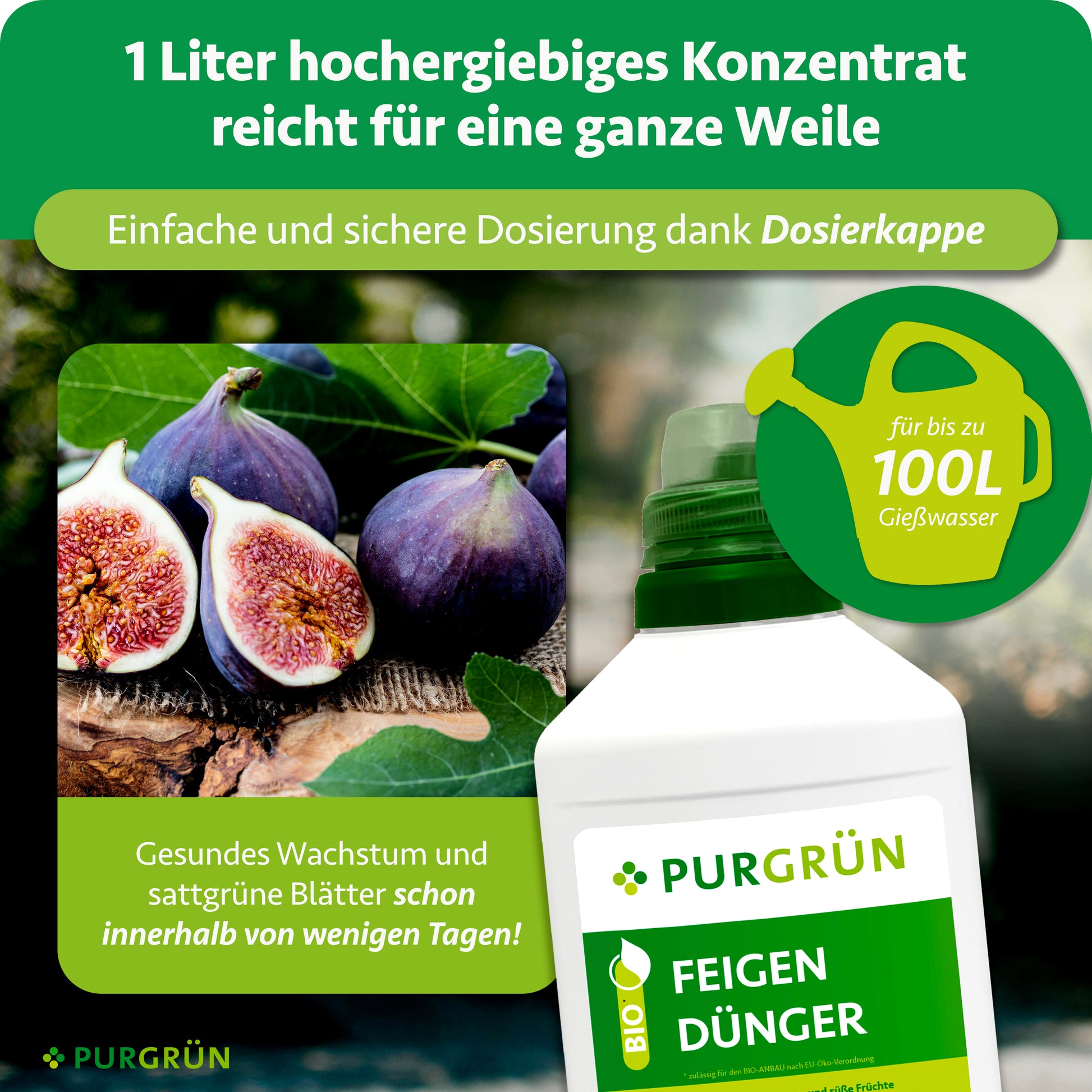 feigen aufbewahren Purgrün Bio-Feigendünger 1 Liter