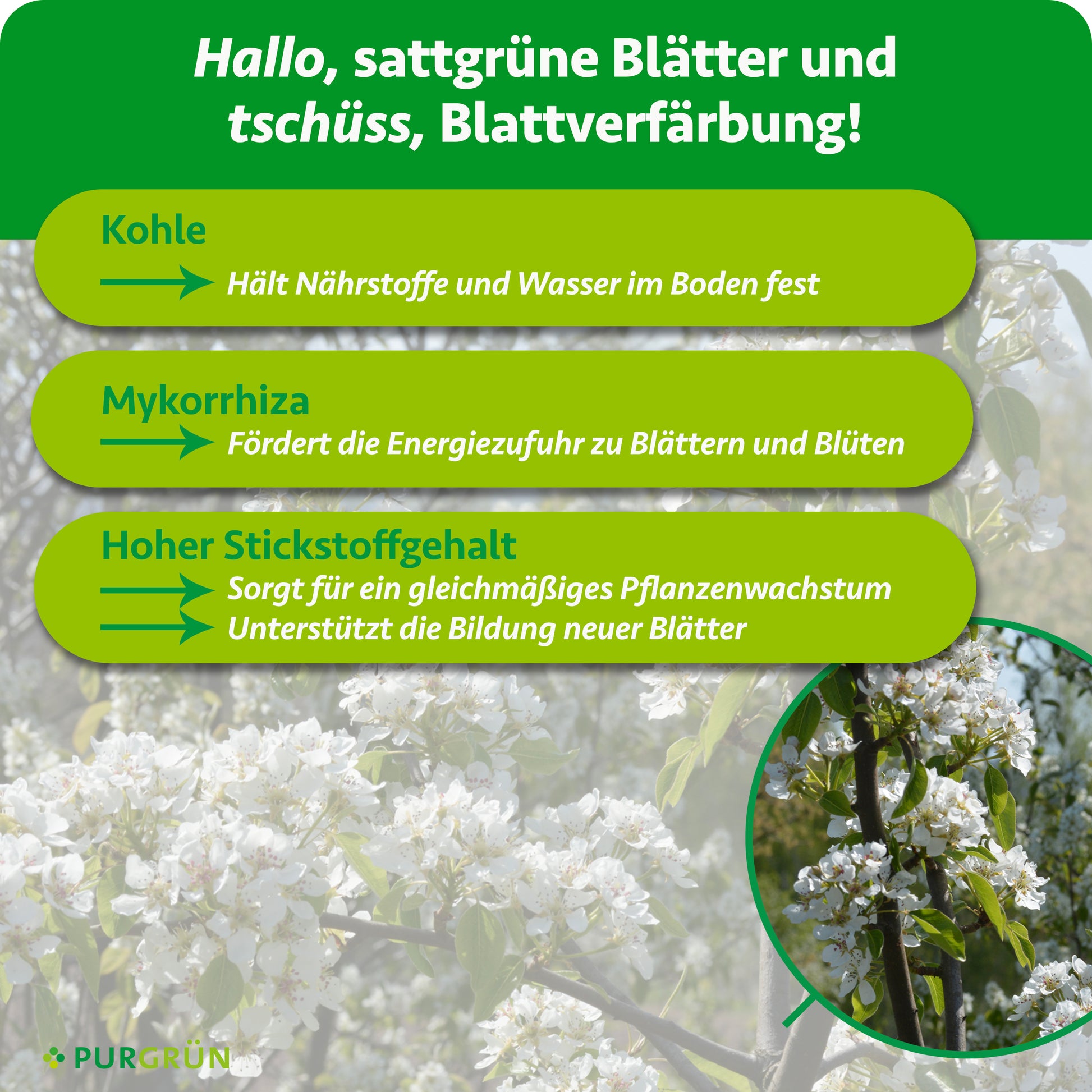 Purgrün Bio-Felsenbirne-Dünger 1 kg