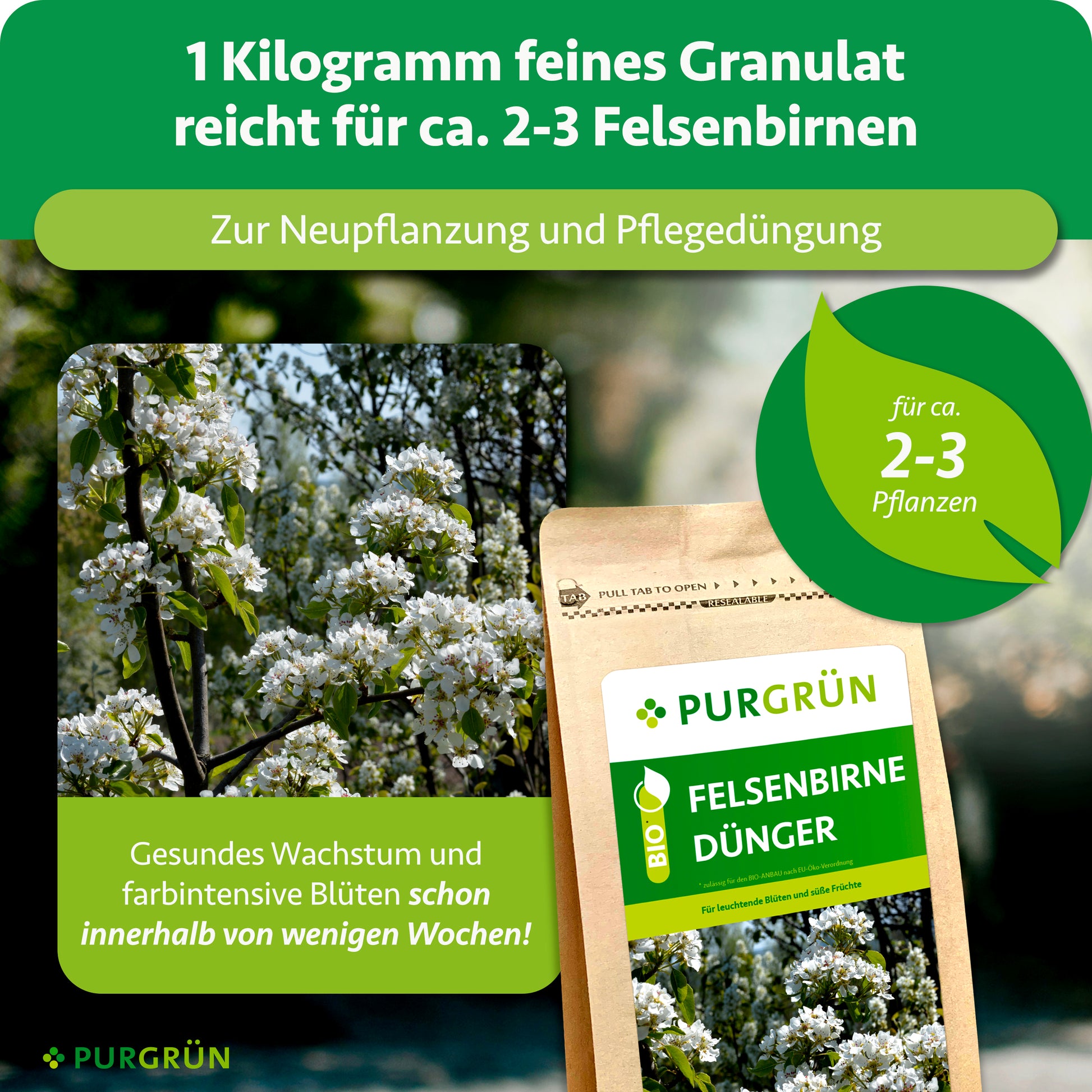 Purgrün Bio-Felsenbirne-Dünger 1 kg