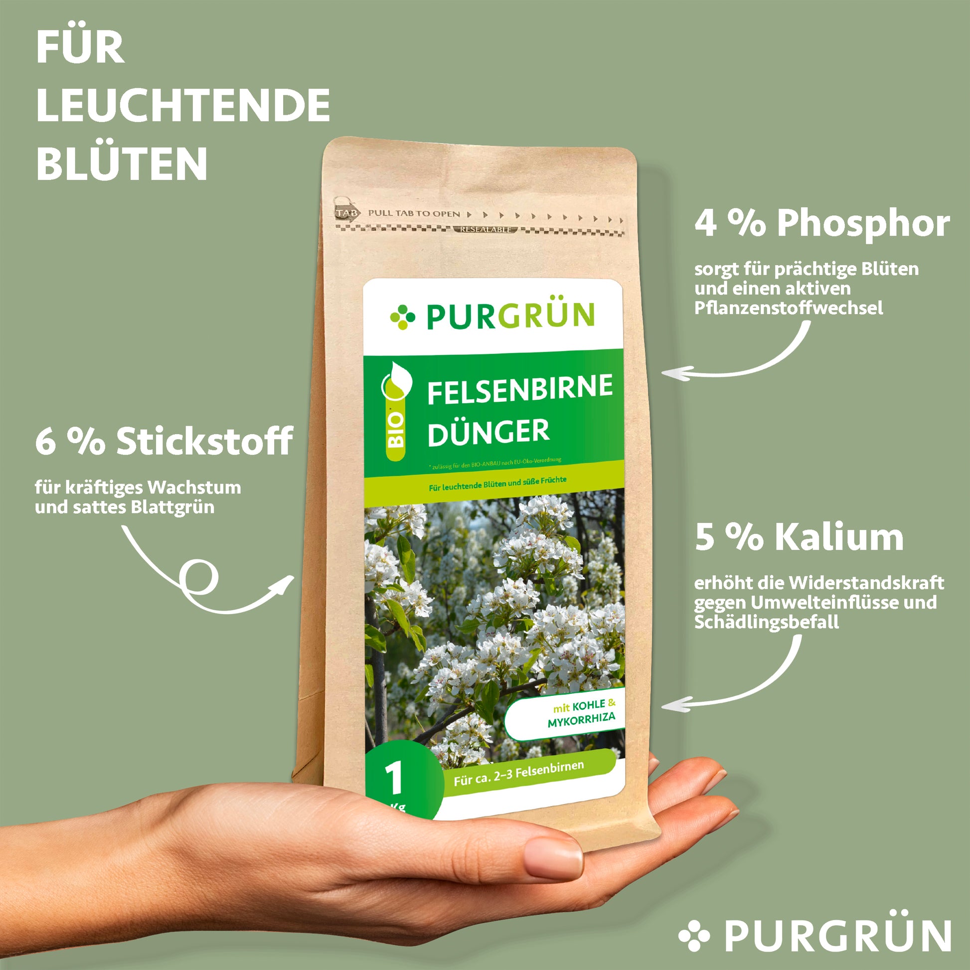 Eine Hand hält eine Purgrün Bio-Felsenbirne-Dünger 1 kg Packung. Auf dem Etikett steht: 6% Stickstoff für das Wachstum, 4% Phosphor für die Blüte, 5% Kalium für die Widerstandsfähigkeit. Hellgrüner Hintergrund; geeignet für biologischen Landbau.