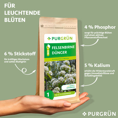Eine Hand hält eine Purgrün Bio-Felsenbirne-Dünger 1 kg Packung. Auf dem Etikett steht: 6% Stickstoff für das Wachstum, 4% Phosphor für die Blüte, 5% Kalium für die Widerstandsfähigkeit. Hellgrüner Hintergrund; geeignet für biologischen Landbau.