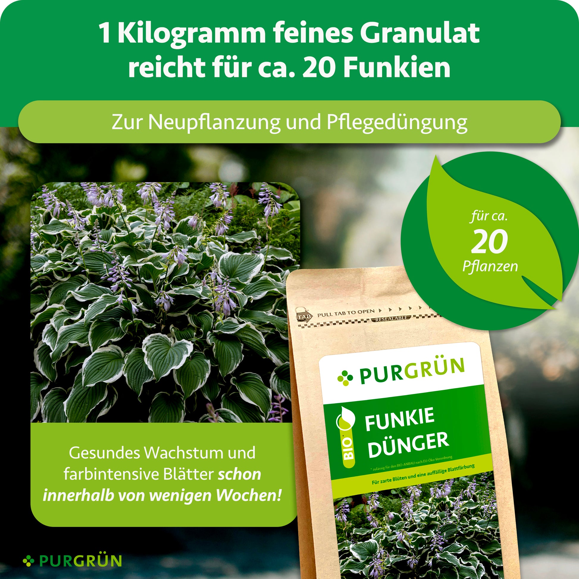 Purgrün Funkie-Dünger 1 kg