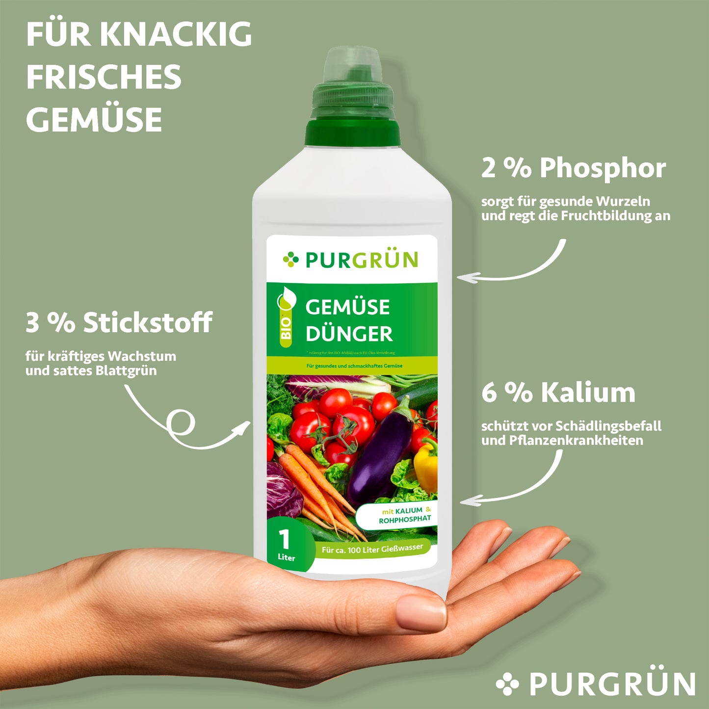 Eine Hand hält eine 1-Liter-Flasche Purgrün Bio-Gemüsedünger. Mit 3 % Stickstoff für das Blattwachstum, 2 % Phosphor für kräftige Wurzeln und 6 % Kalium zum Schutz fördert er frisches, knackiges Gemüse.