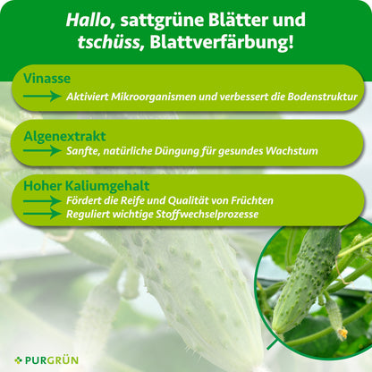 Bio-Gewächshausgurken-Dünger 1 Liter