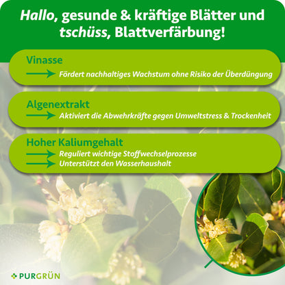 Purgrün Bio-Gewürzlorbeer-Dünger 1 Liter