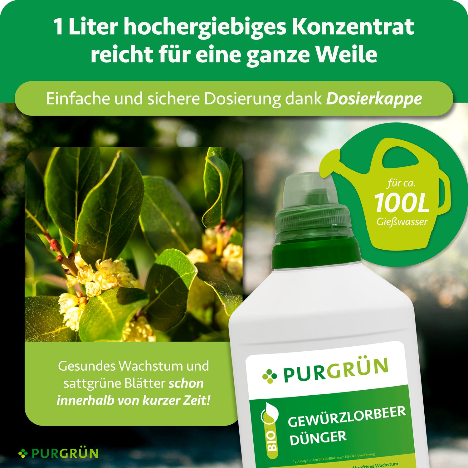 Purgrün Bio-Gewürzlorbeer-Dünger 1 Liter