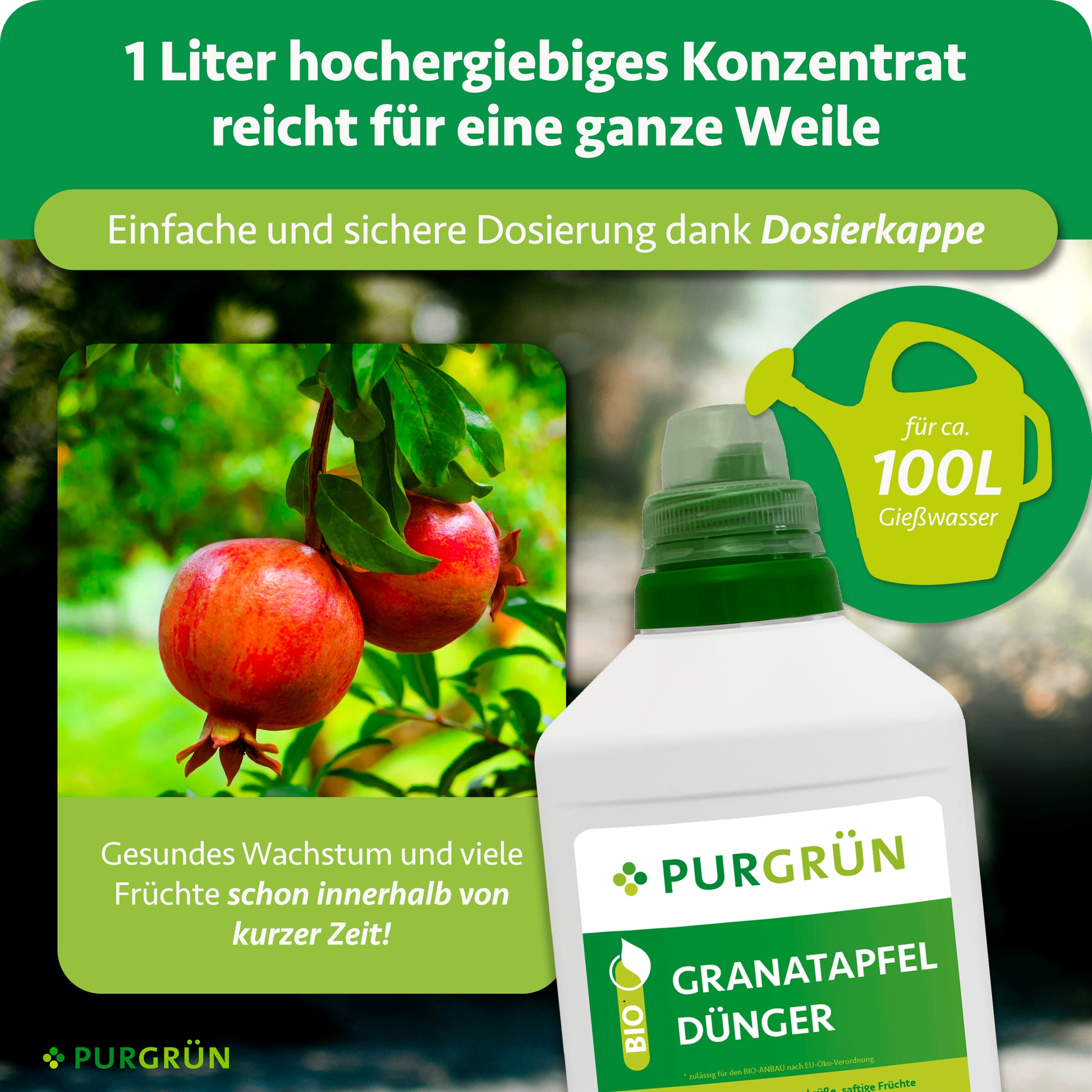 granatapfel aufbewahren Purgrün Bio-Granatapfel-Dünger 1 kg